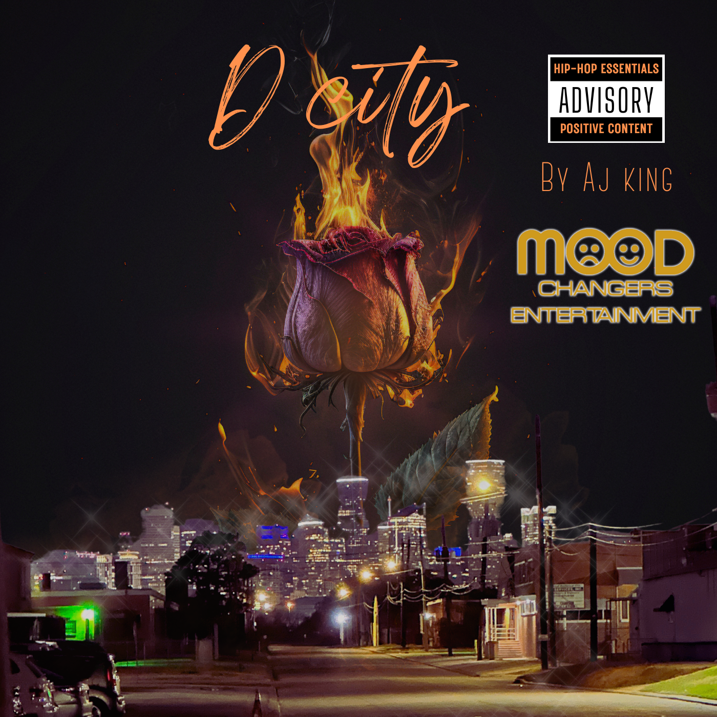 D City